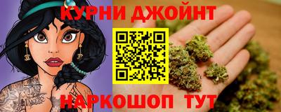гашик Будённовск