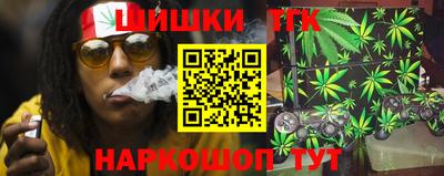 гашик Будённовск