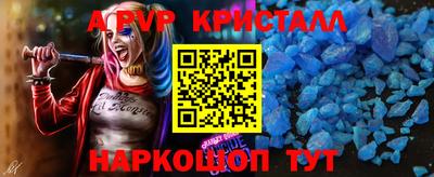 гашик Будённовск