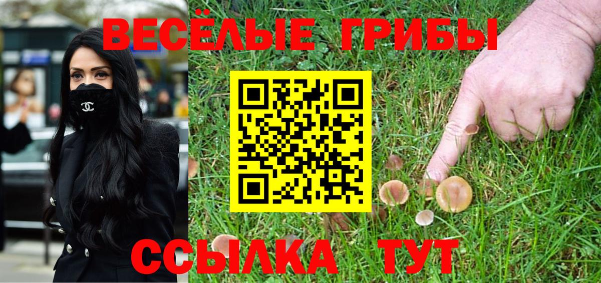 Россошь  Псилоцибиновые грибы прущие грибы  Псилоцибиновые грибы MAGIC MUSHROOMS  Вход с VPN 